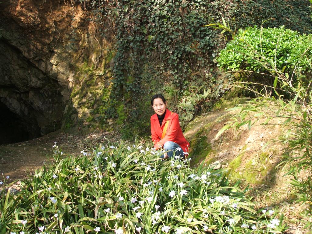 彩票计划软件