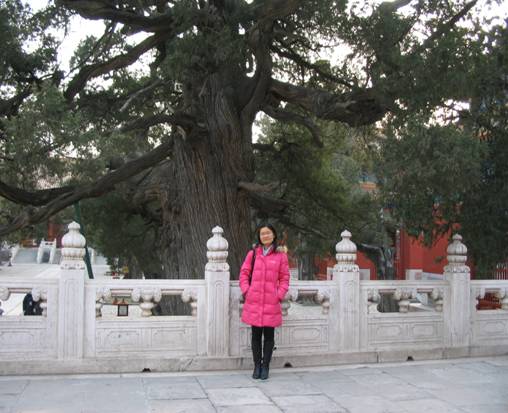 彩票计划软件