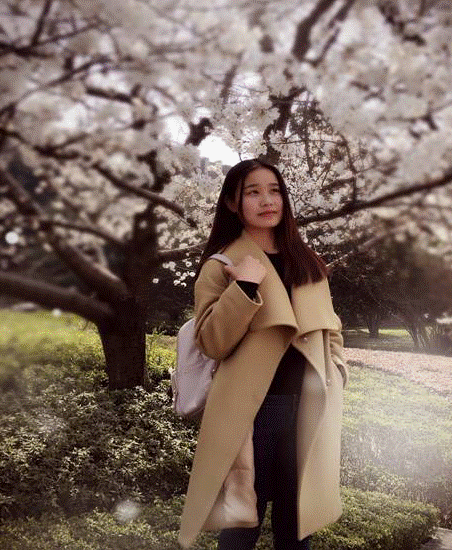 彩票计划软件